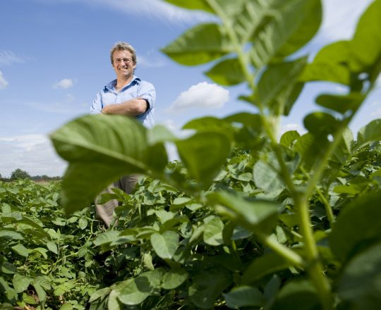 Landwirt in England für Bayer AG