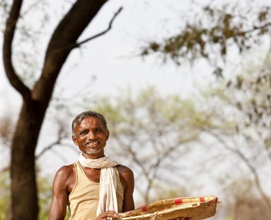 Bauer in Indien