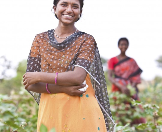 Bamwollpflückerin in Indien